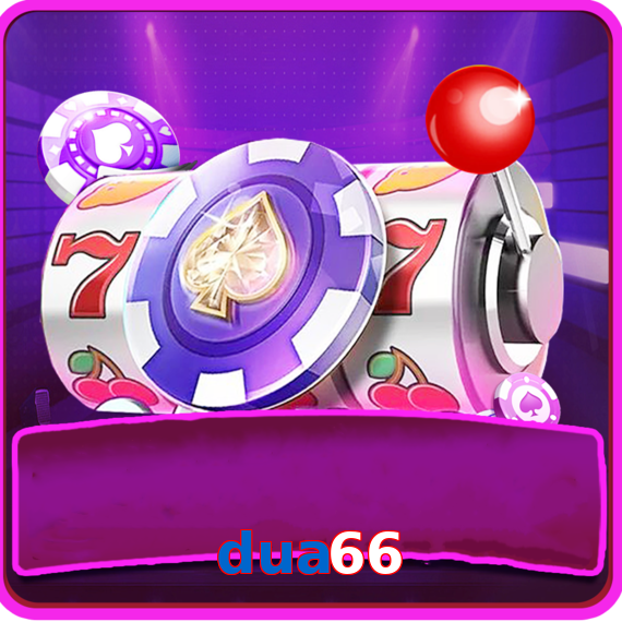 Dua66